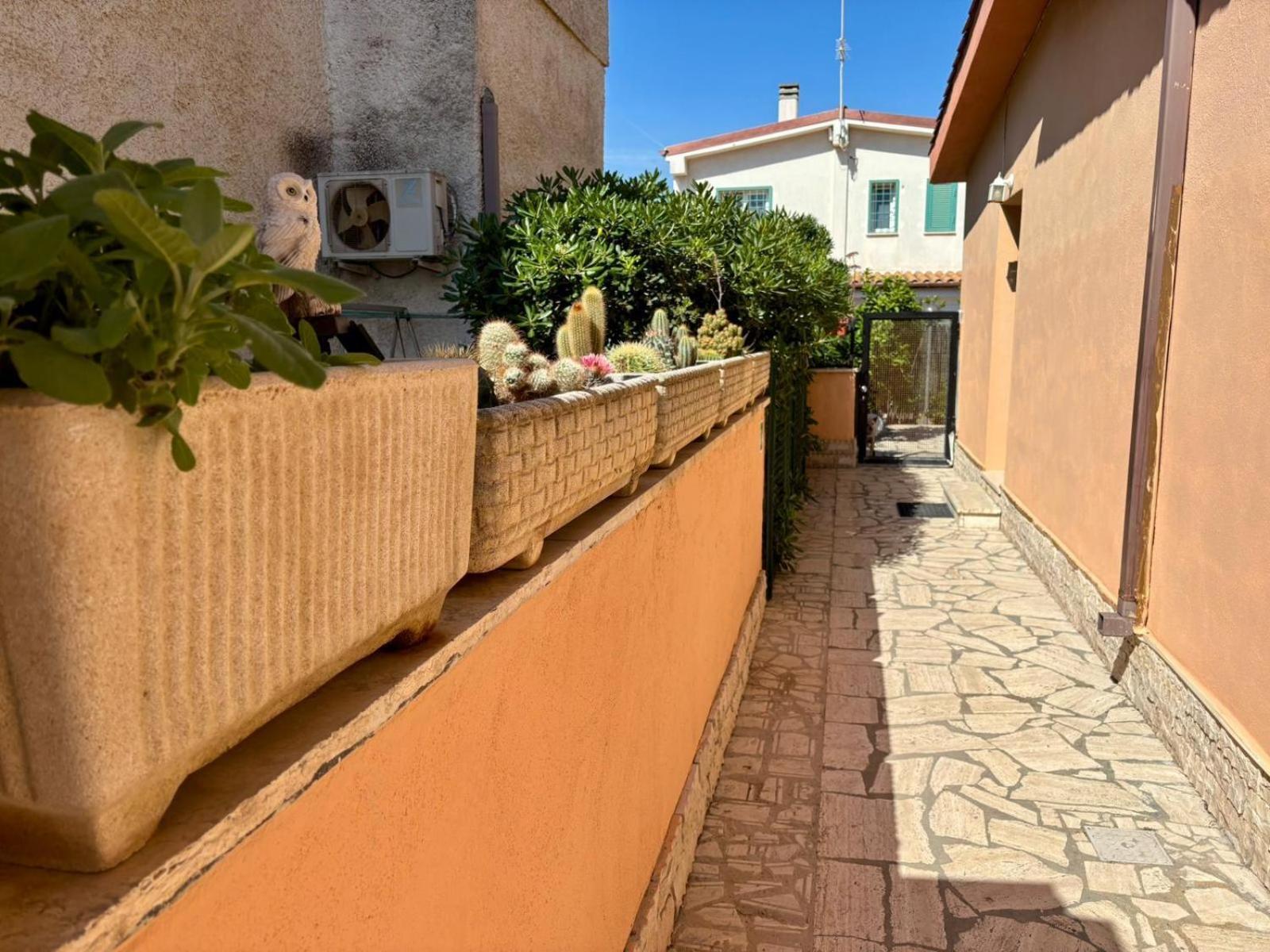 B&B Buena Vista Φιουμιτσίνο Εξωτερικό φωτογραφία
